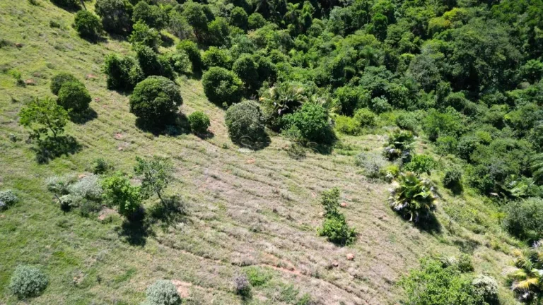 Imagem Oportunidade de Terrenos na serra