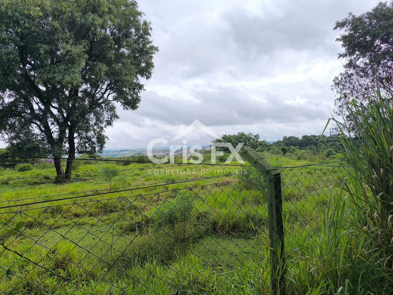Imagem Lote/Terreno de 15000m² no bairro Vista Alegre, em Vinhedo