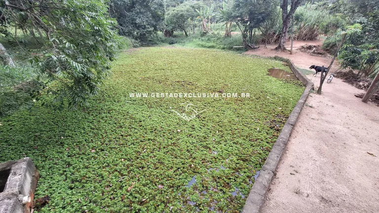 Imagem Sítio 20mil m² Documentado 4 Lagos Pomar Formado Morungaba/SP