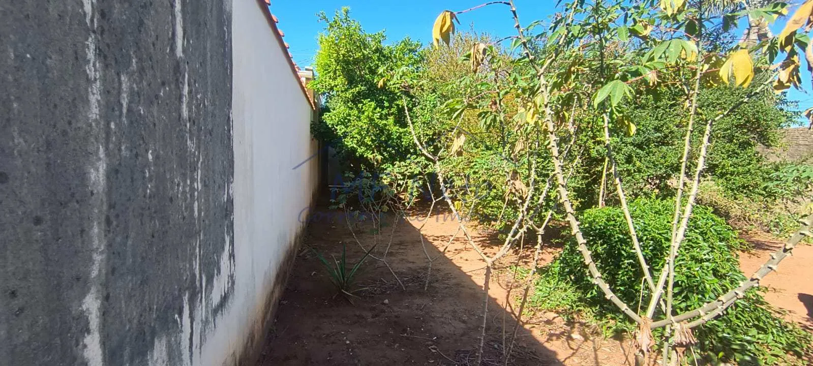 Imagem Terreno Padrão