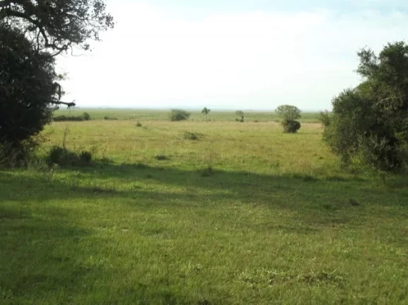 Imagem Excelente área para Condomínio ou Loteamento região central de Águas Claras