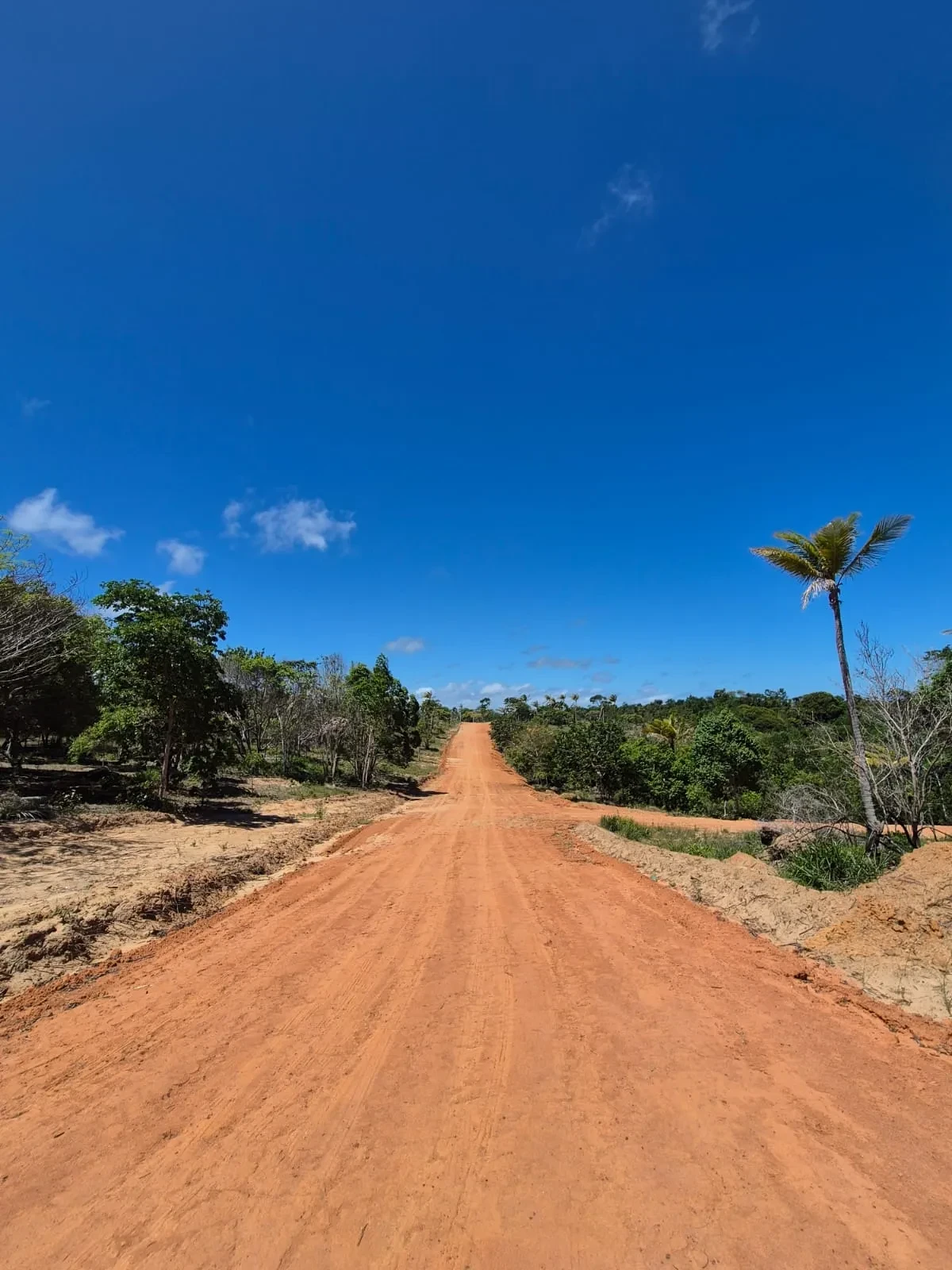 Imagem Terreno à Venda, 250 metros em Mata de São João - Mata de São João
