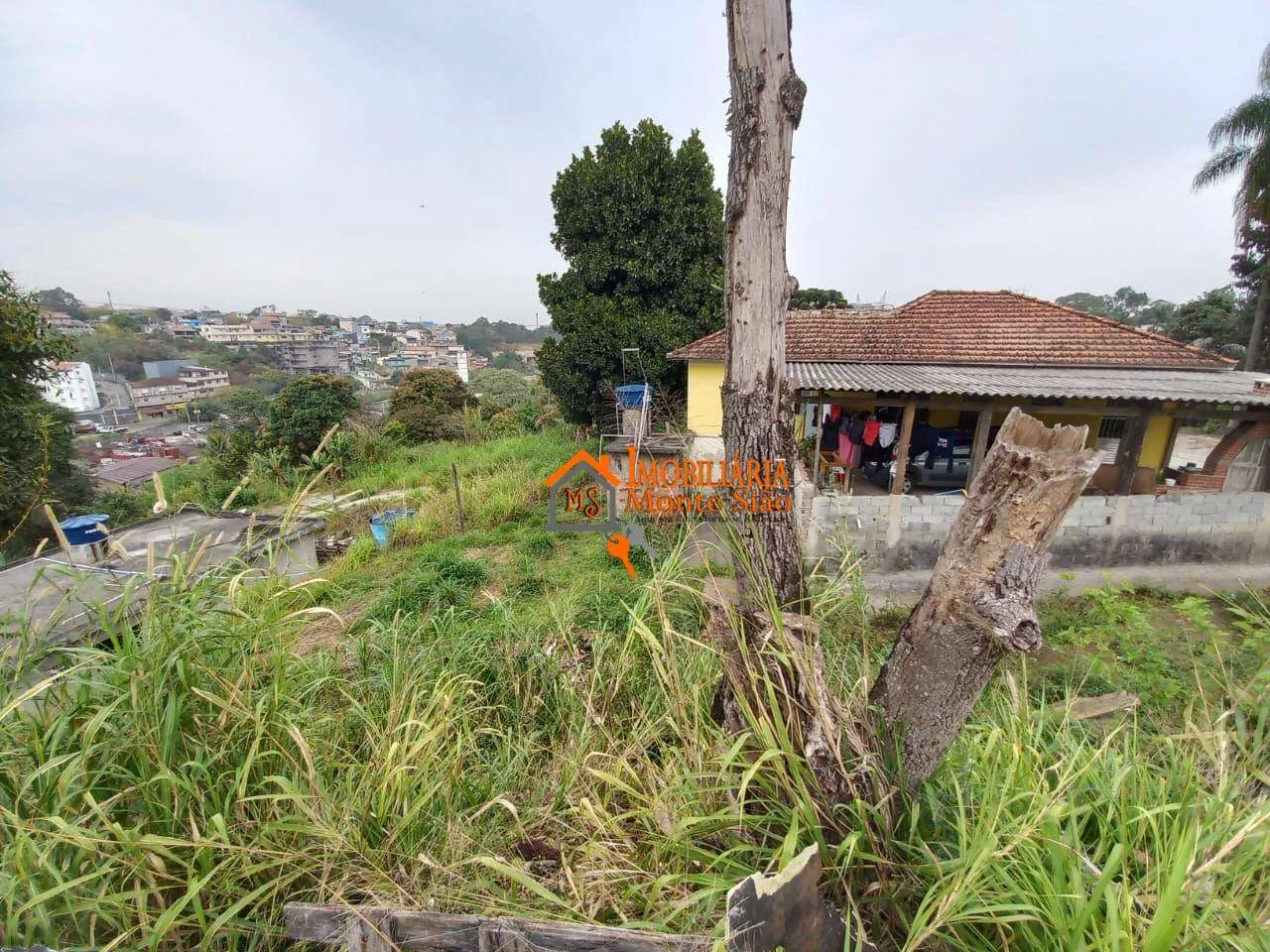 Imagem Área à venda, 2424 m² por R$ 1.200.000,00 - Três Cruzes - São Paulo/SP