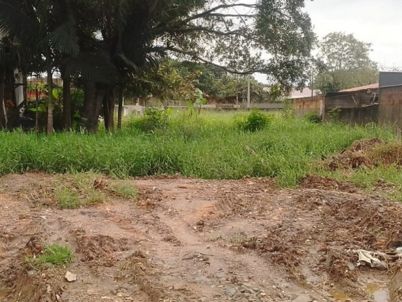 Imagem Terreno à Venda, 300 m² em itajuba  - Barra Velha