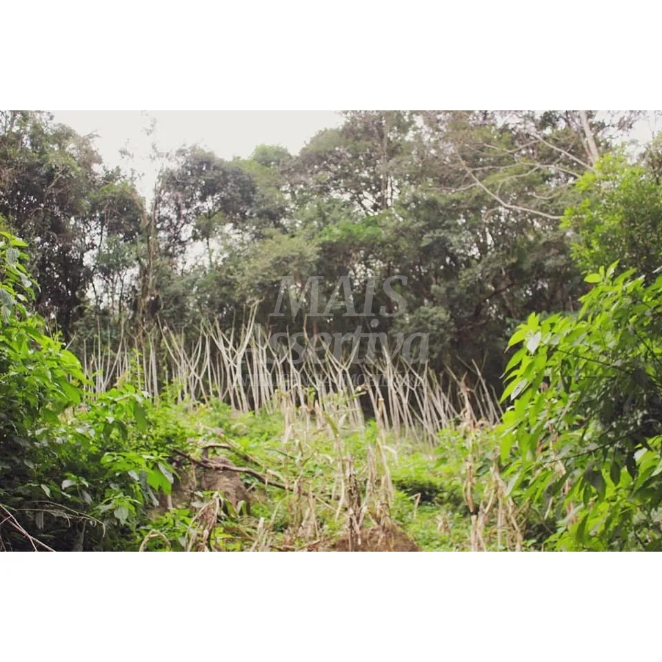 Foto do imóvel VENDE ou TROCA