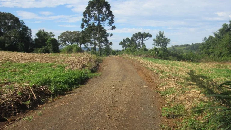Imagem Área Agrícola para Venda em Concórdia, Barra do Pinhal