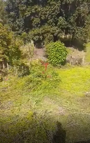 Imagem Terreno 400m² Salto do Norte Blumenau/SC