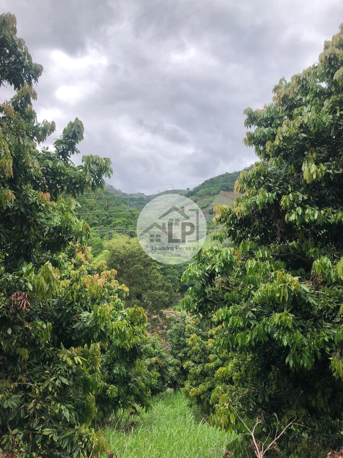 Imagem Fazenda/Sítios/Chácaras de 480000m² no bairro Carmo, em Carmo