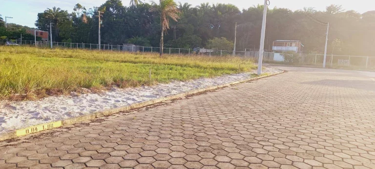Imagem LOTES - JARDIM DAS BROMÉLIAS