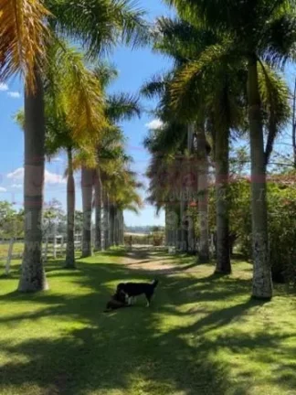 Imagem Sítio a venda em Porto Feliz, interior de São Paulo, próximo a Marechal Rondon,. Terreno: 90.000m...
