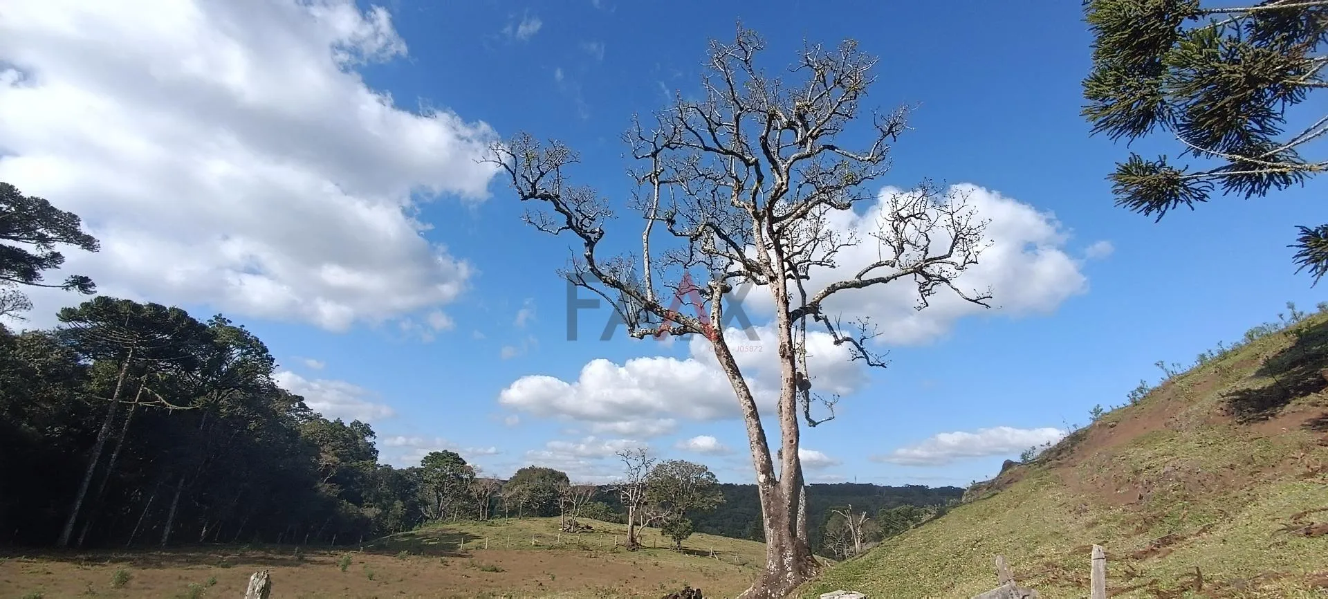 Imagem Chácara à venda com 12,5884 hectares, PALMEIRINHA, GUARAPUAVA - PR