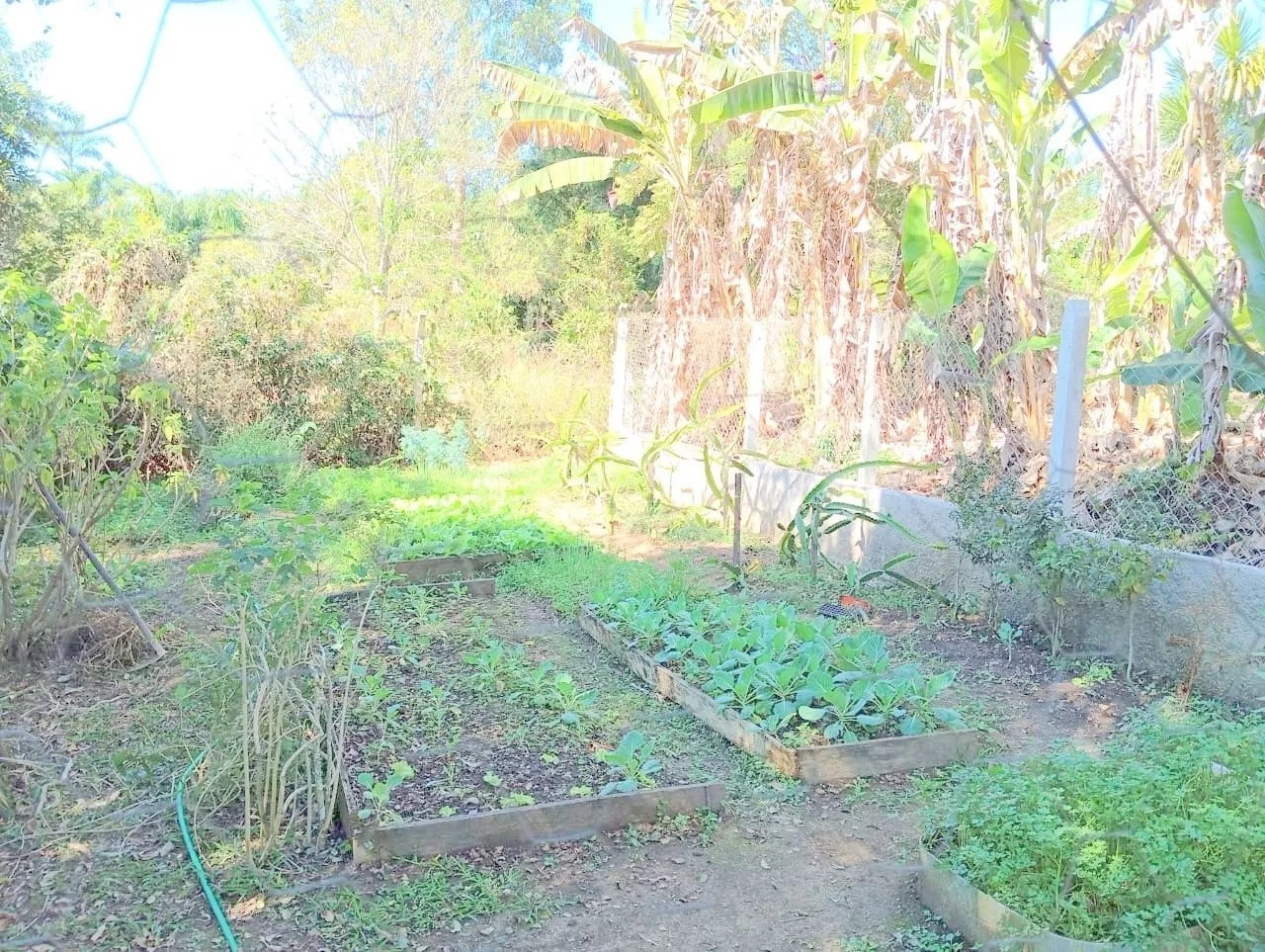 Imagem Chácara maravilhosa à venda, Bom Jardim II, Guaratinguetá, SP