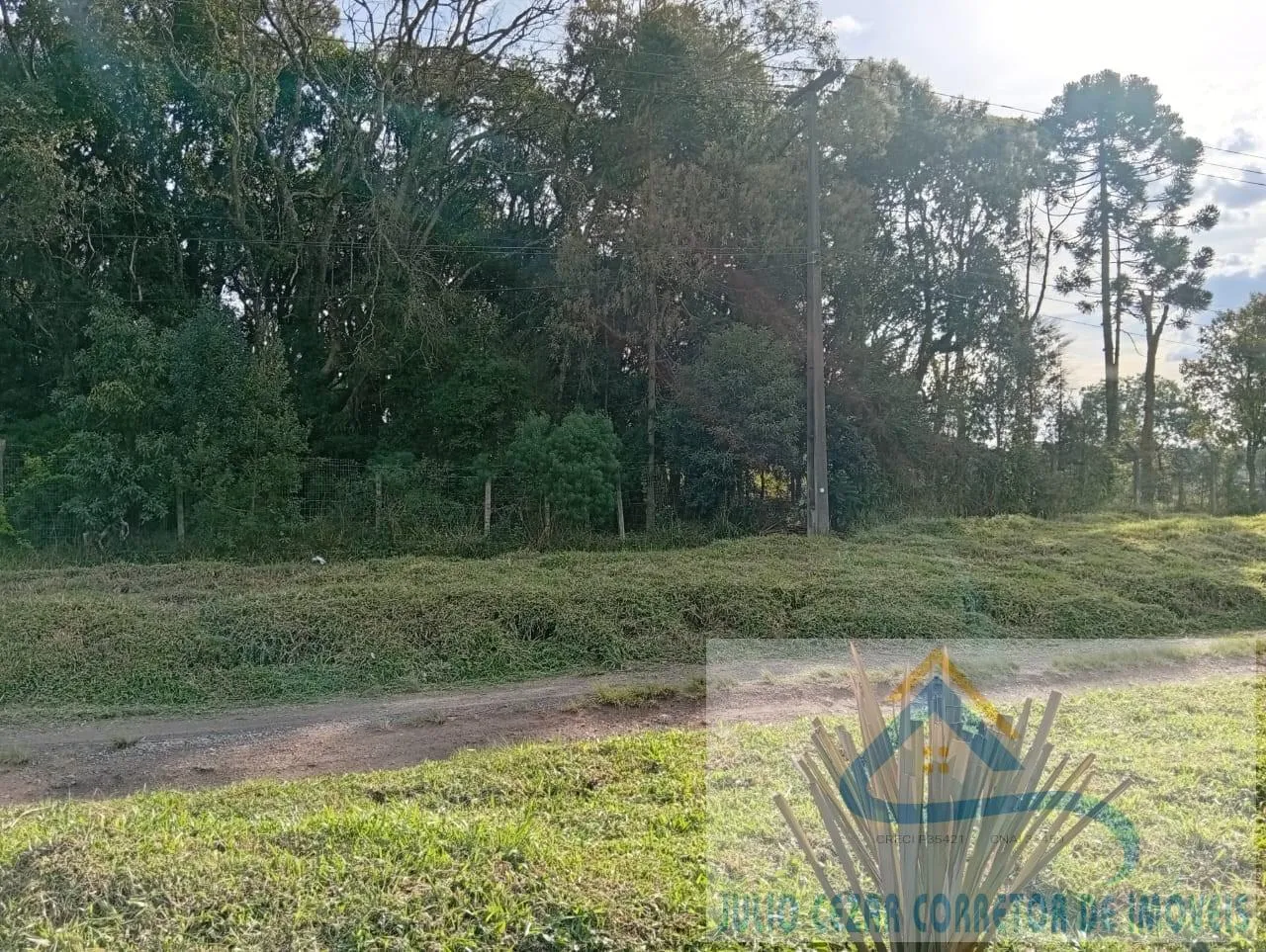 Imagem Terreno para Venda em São José dos Pinhais, Campo Largo da Roseira