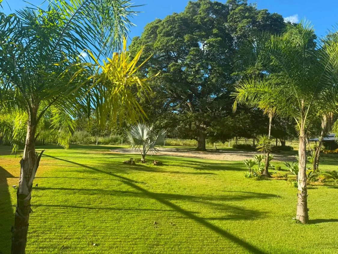 Imagem Rancho de Alto Padrão à Venda ?Com 40.000 m² de área total, Paraopeba/MG