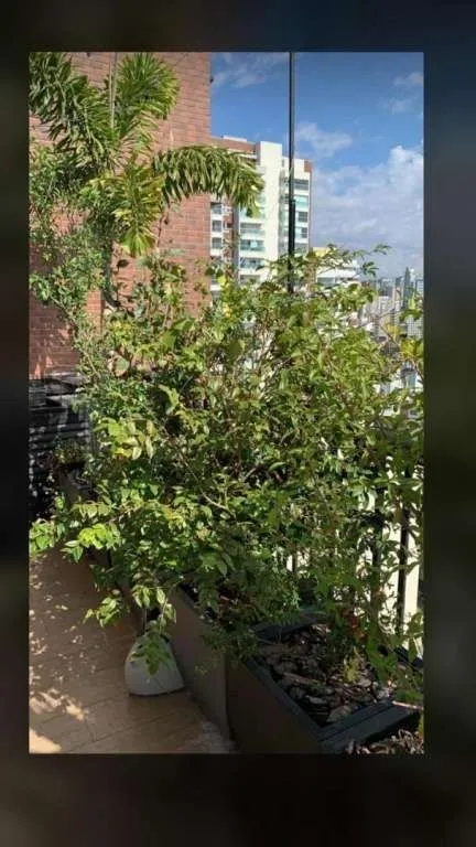 Imagem Apartamento à Venda em Bela Vista, São Paulo - SP