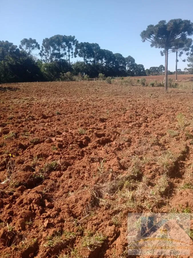 Imagem Terreno para Venda em São José dos Pinhais, Campo Largo da Roseira