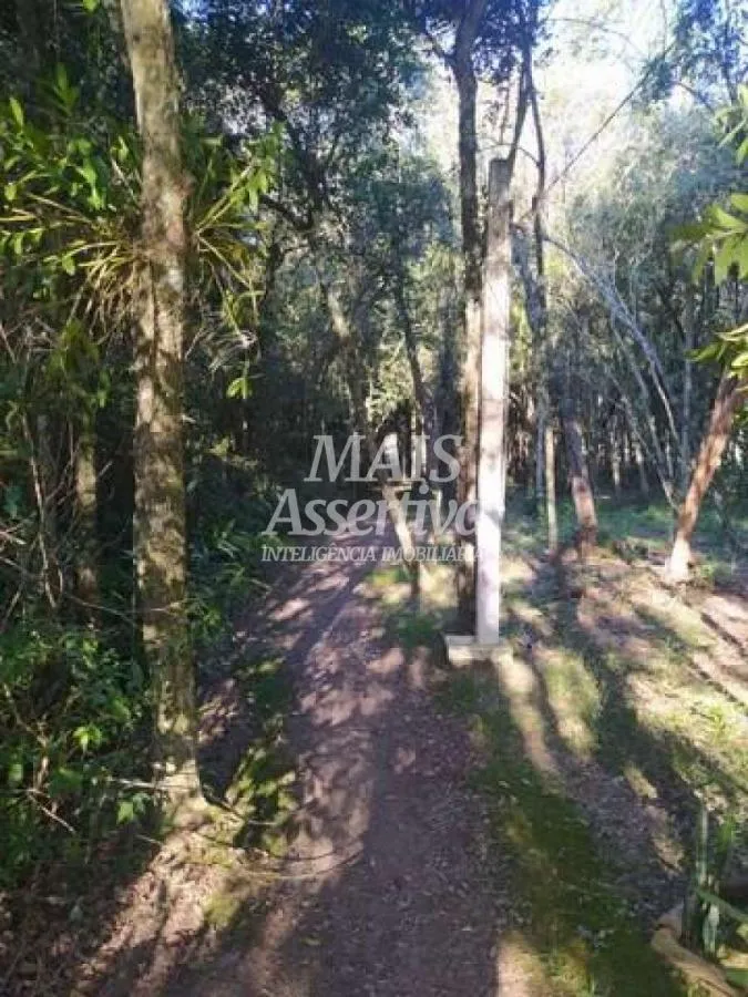 Imagem Terreno para Venda em Novo Hamburgo / RS no bairro Lomba Grande