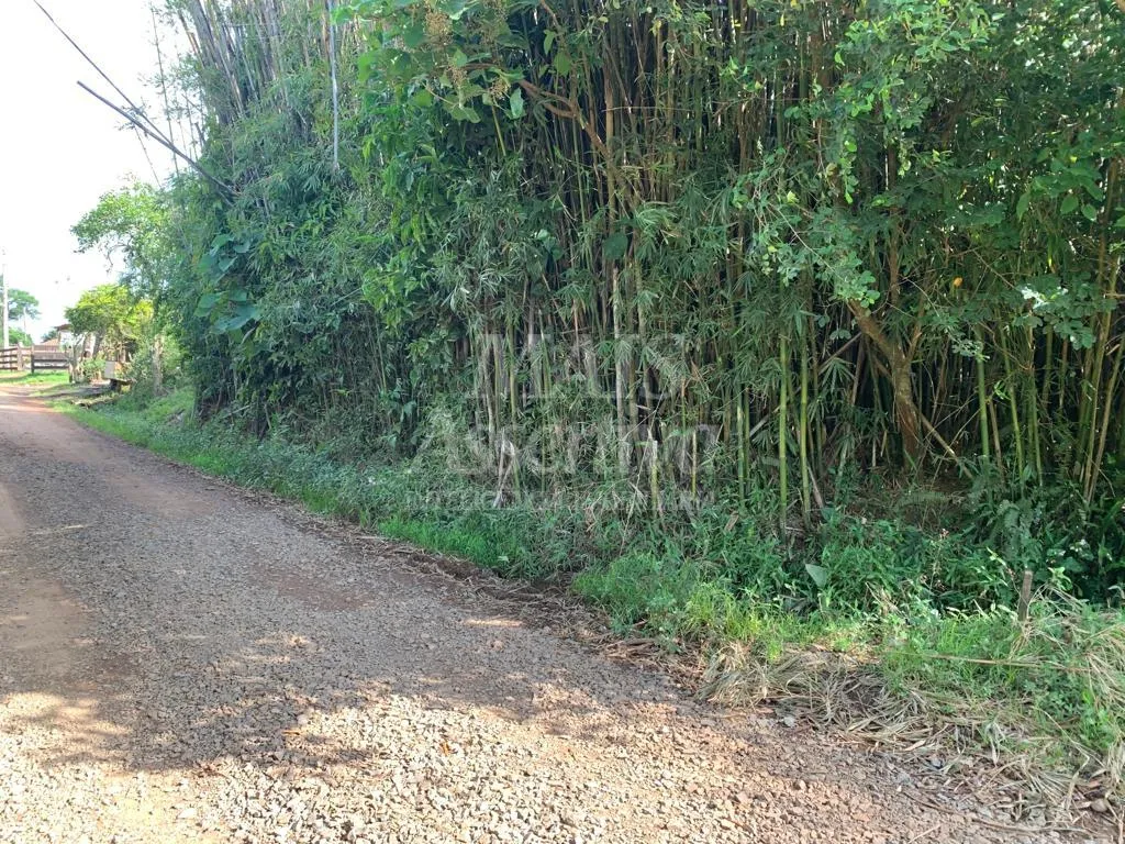 Imagem Duas casas a venda em Portão