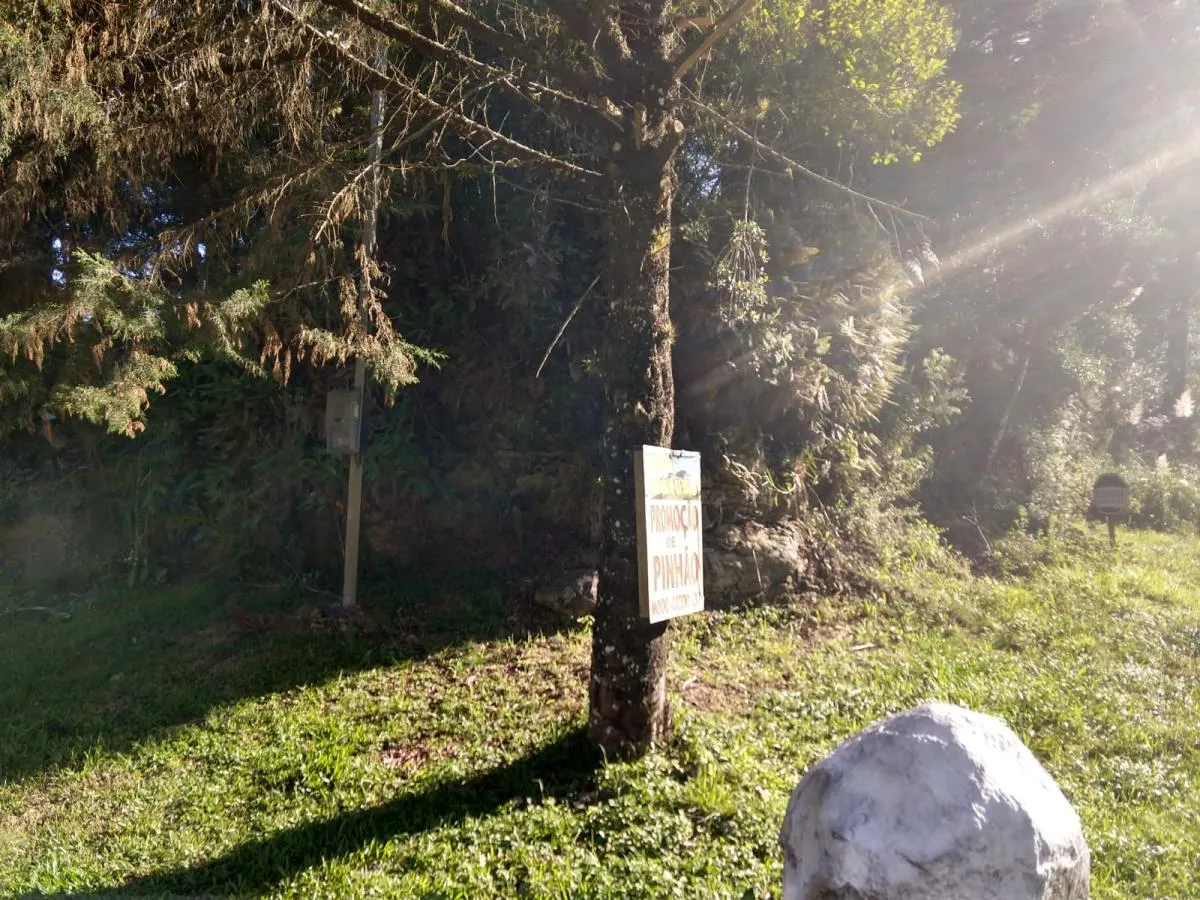 Imagem Terreno para Venda em São Francisco de Paula / RS