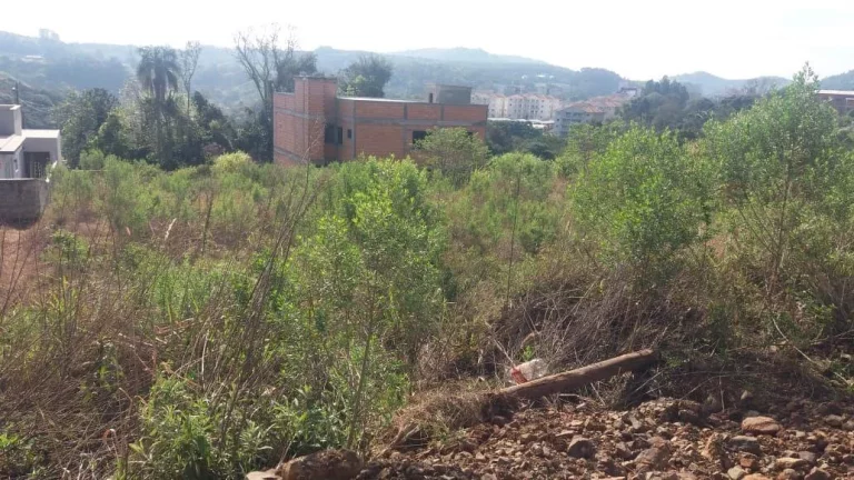 Imagem Terreno para Venda em Concórdia, Cinquentenário