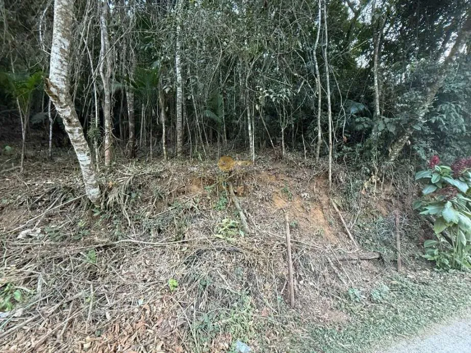 Imagem Terreno para Venda em Teresópolis / RJ no bairro Albuquerque