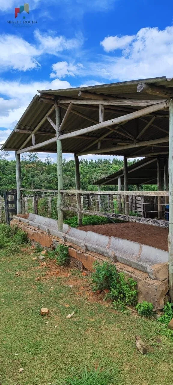 Imagem Fazenda a venda São Miguel Arcanjo SP