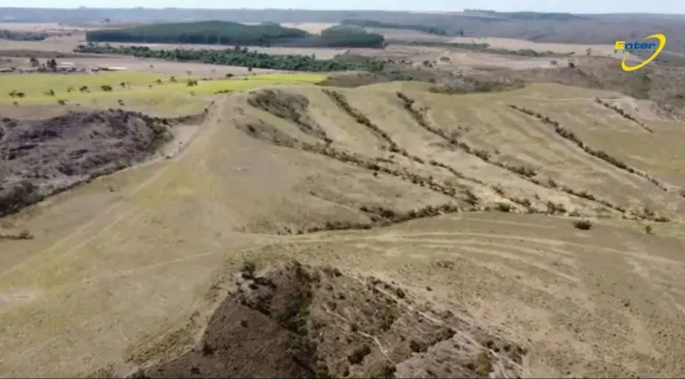 Imagem Fazenda à Venda, 297 HAem Paranoá - Brasília