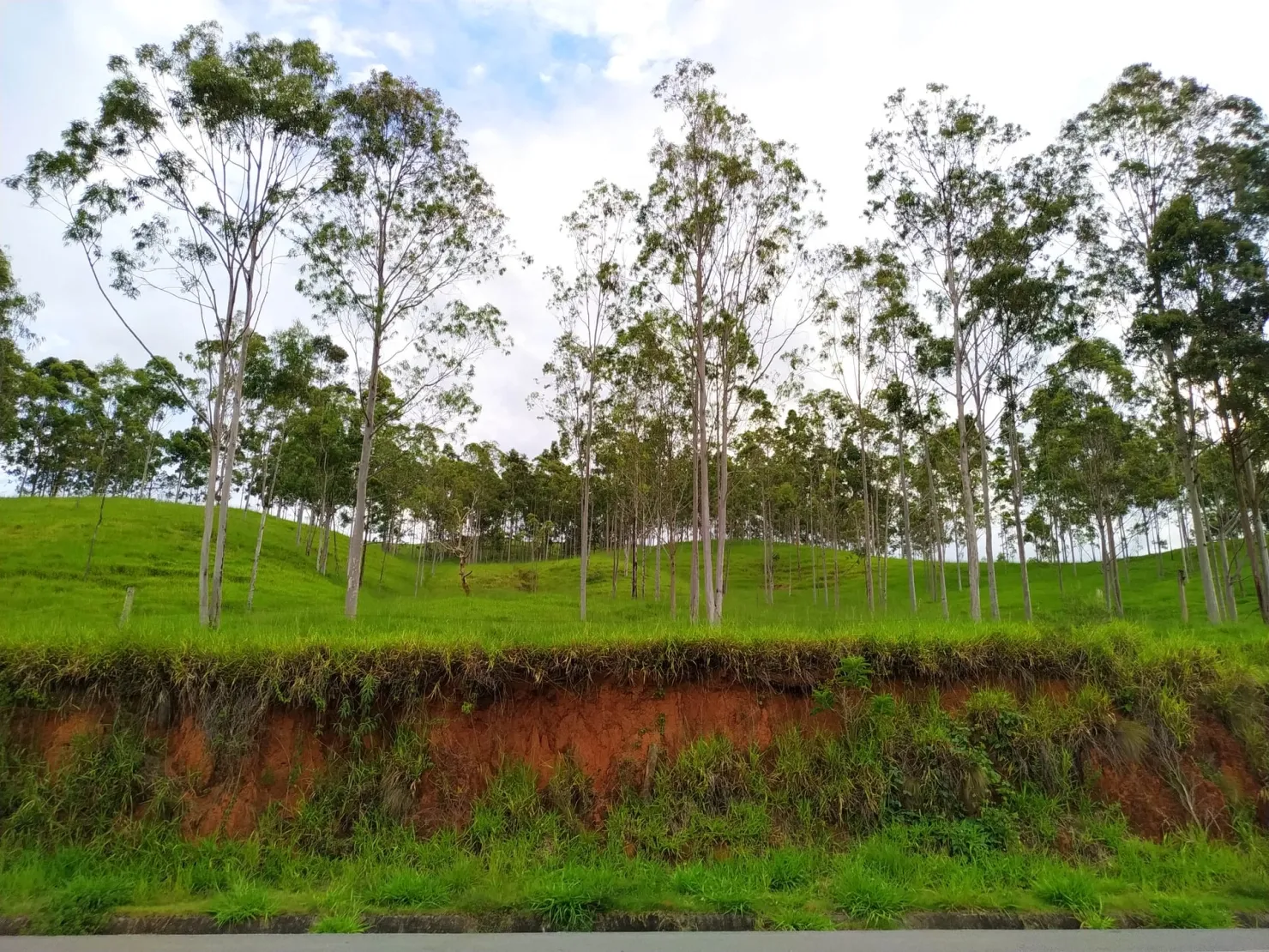 Foto do imóvel Chácara à venda 30000M², Zona Rural, Silveiras - SP