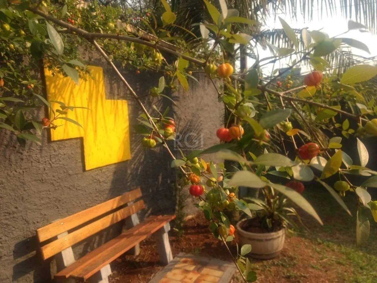 Imagem Terreno a venda no bairro Gloria - Av. Oscar Pereira
