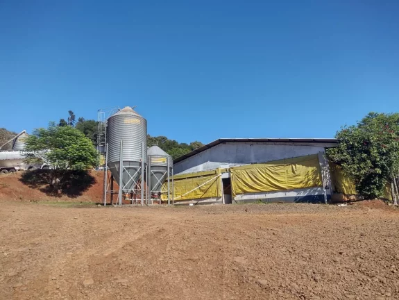 Imagem Granja para Venda em Seara, Interior