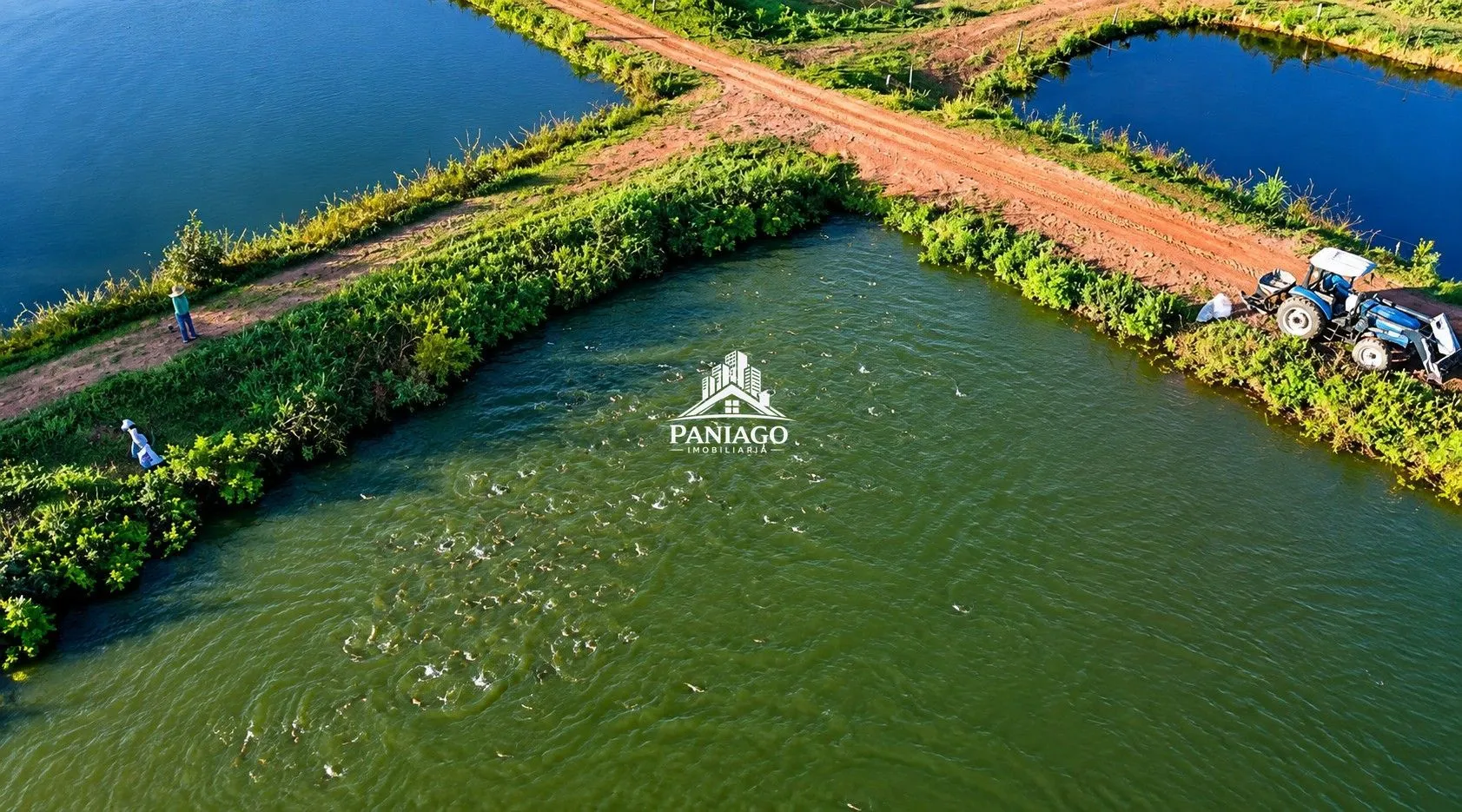 Imagem Fazenda de 117 Hectares a 30 km de Cuiabá com Piscicultura e 22 ha de Lâmina d'Á