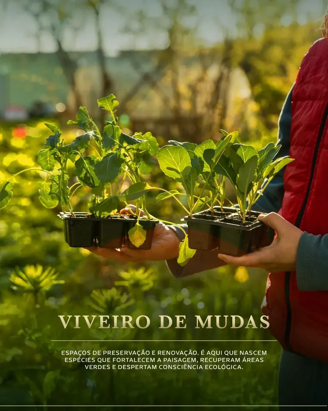 Imagem Terreno à Venda, 240 metros em bairro Papucaia - Cachoeiras de Macacu