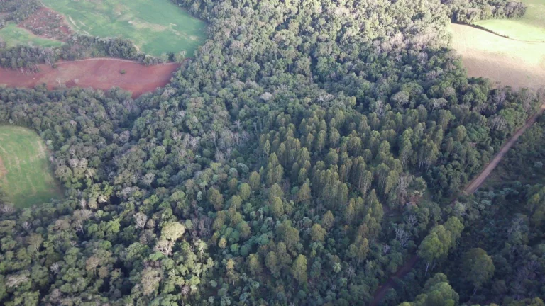 Imagem Terreno para Venda em Concórdia, Interior