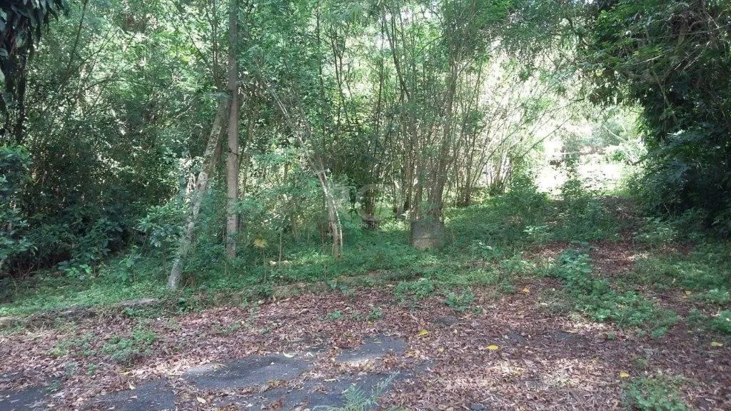 Imagem Area para Venda - 0m², 0 dormitórios, Ponta Grossa