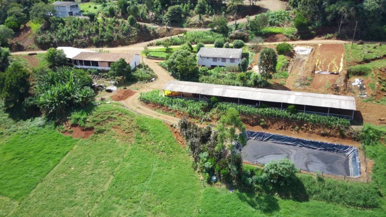 Imagem Área Agrícola para Venda em Arabuta, Rodovia