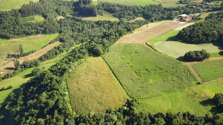Imagem Área Agrícola para Venda em Lindóia do Sul, Rural