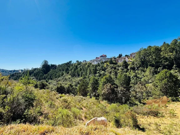 Imagem Lindo Terreno a venda no Alto do Capivari em Campos do Jordão-SP
