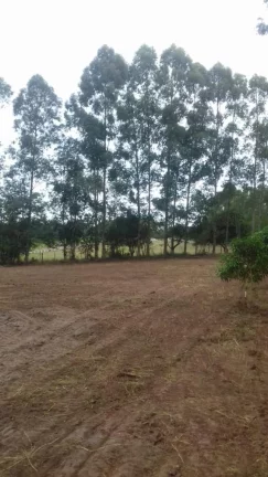 Imagem Terreno excelente a venda para Chácara com 8 mil m² no asfalto - em Quadra