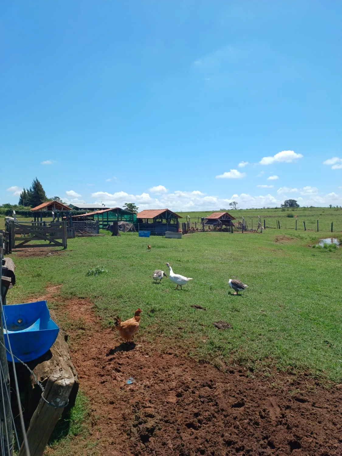 Imagem Chácara 20m Umuarama-PR 69
