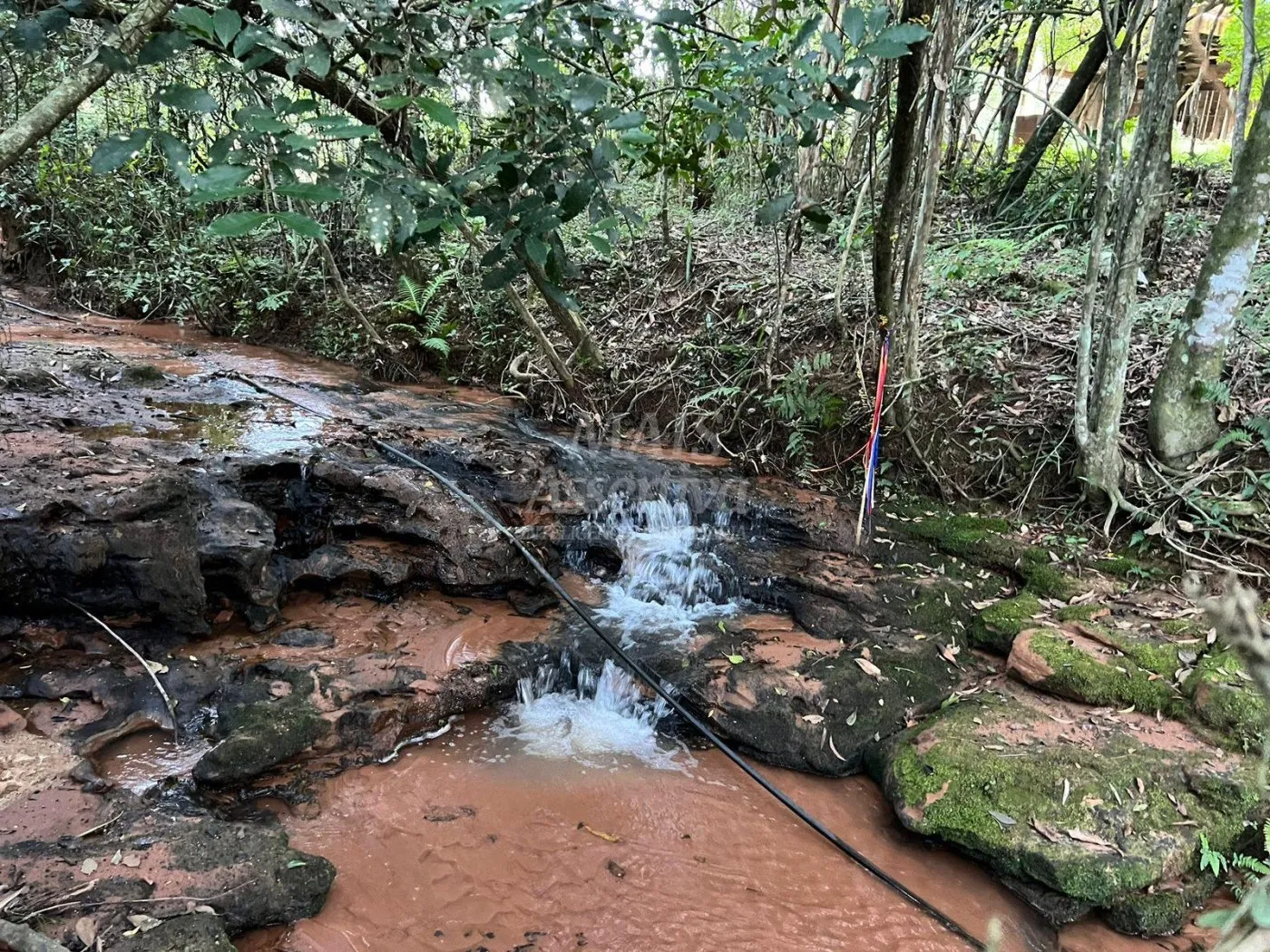 Imagem Chácara de 10 hectares para venda em Lomba Grande, Novo Hamburgo