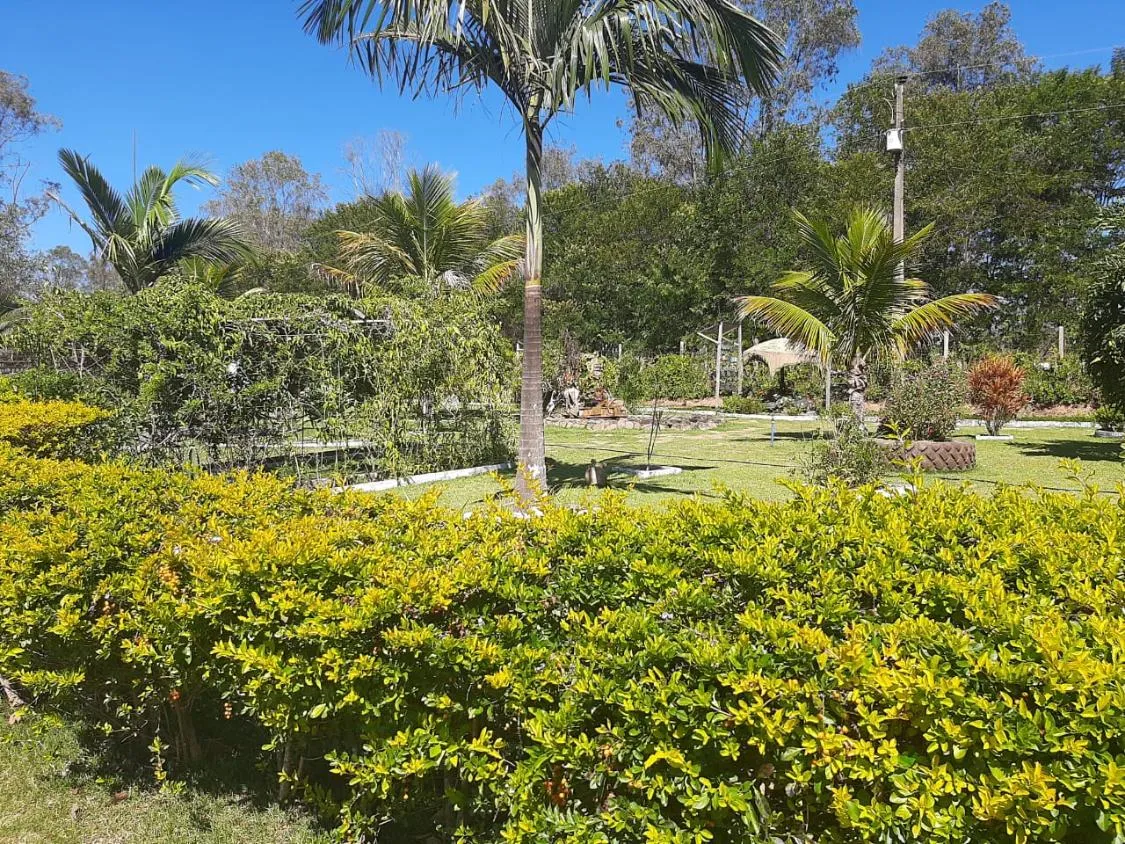Imagem Vendo Lindíssimo Sítio em Itatiaiuçu/MG com 2 hectares (20.000 m²) de área