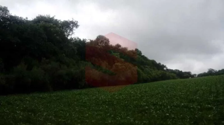 Imagem Chácara à venda em Campo Largo/PR