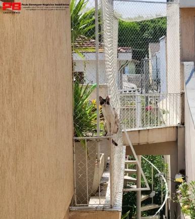 Imagem Sobrado 150m² 3 dormitórios - Jardim Bélgica