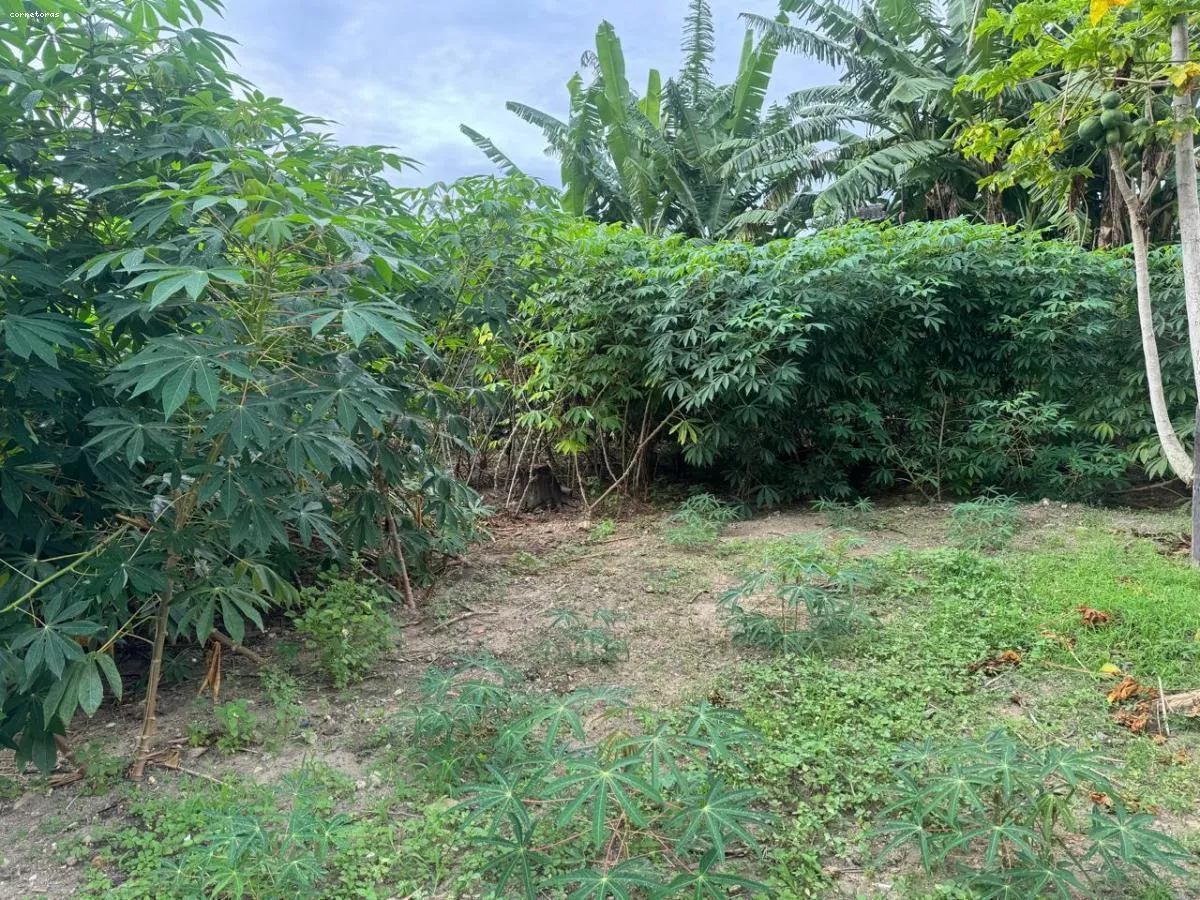 Imagem Terreno para Venda em São Sebastião, São Francisco da Praia