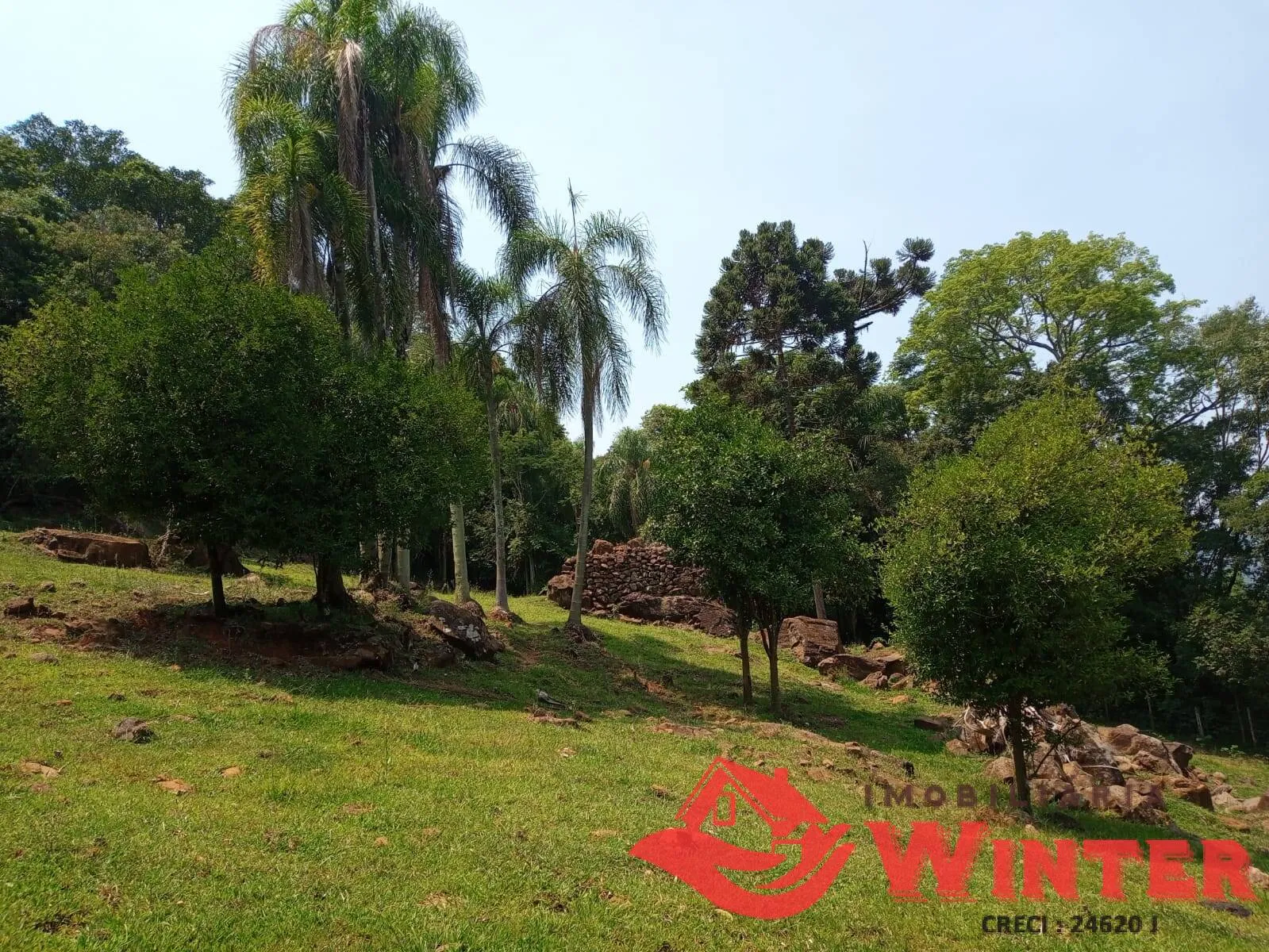 Imagem LIndo sítio com 7,2 hectares em Alto Feliz.