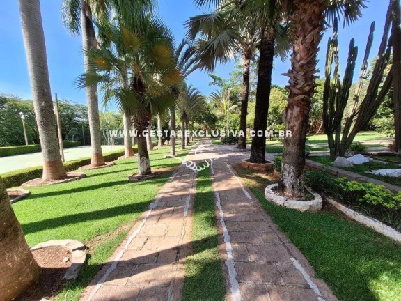 Imagem CHÁCARA GERANDO RENDA COM 10Mil m² 4 CASAS PISCINA ÁREA GOUMET COMPLETA