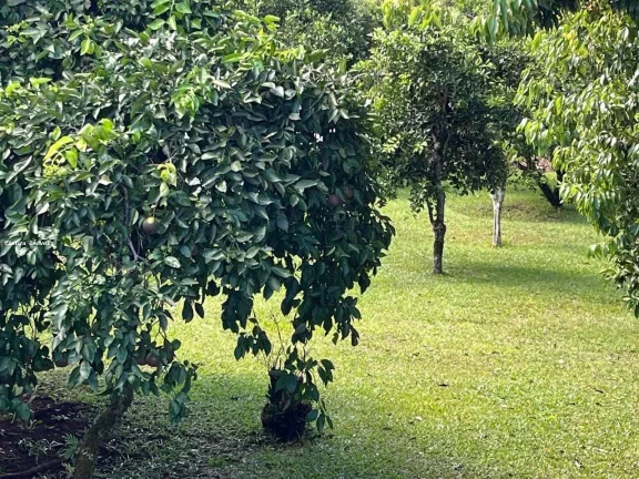 Imagem Terreno para Venda em Concórdia, Planalto