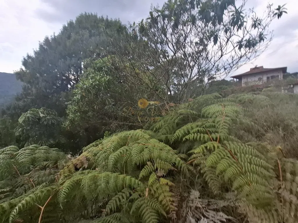 Imagem Terreno em Condomínio para Venda em Teresópolis / RJ no bairro Albuquerque