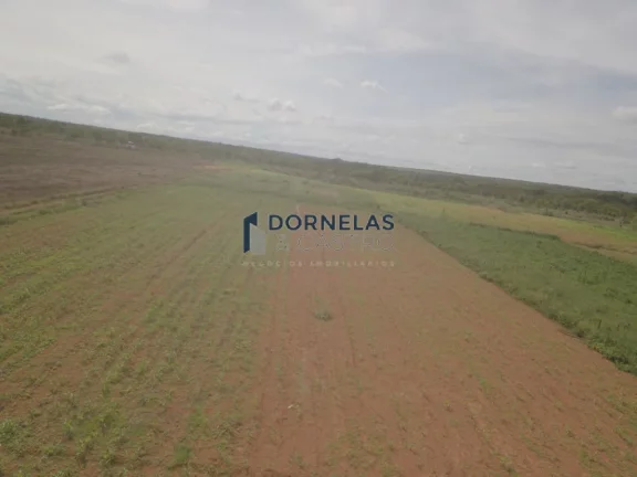 Imagem ÁREA RURAL AS MARGENS DA BR-020 18,9 HECTARES O CÓRREGO PASSA DENTRO ESTUDA TROCA