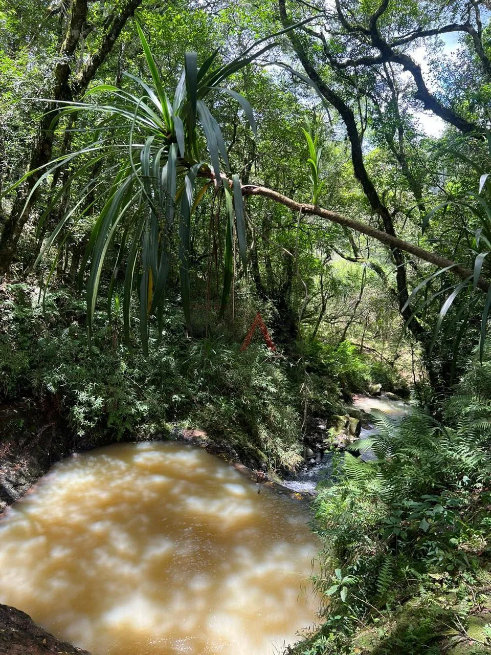 Imagem Chácara à venda,5.76 m , RIO DAS PEDRAS, GUARAPUAVA - PR
